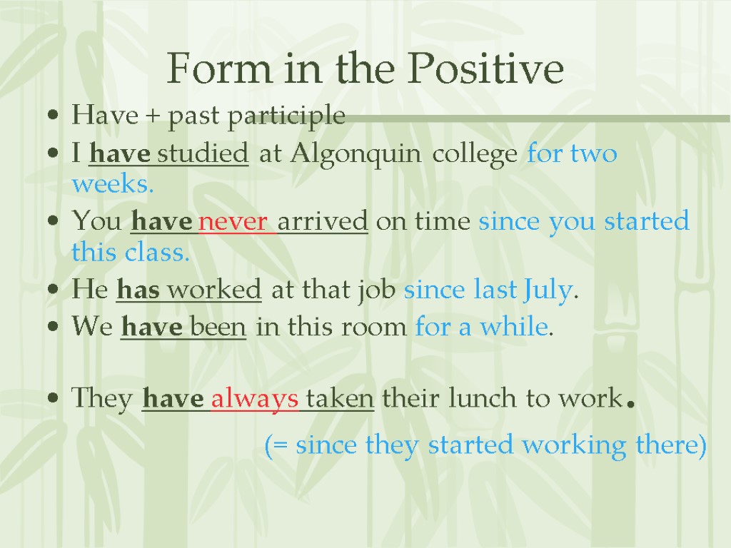 Form in the Positive Have + past participle I have studied at Algonquin college